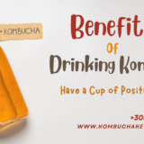 kombucha for weight loss